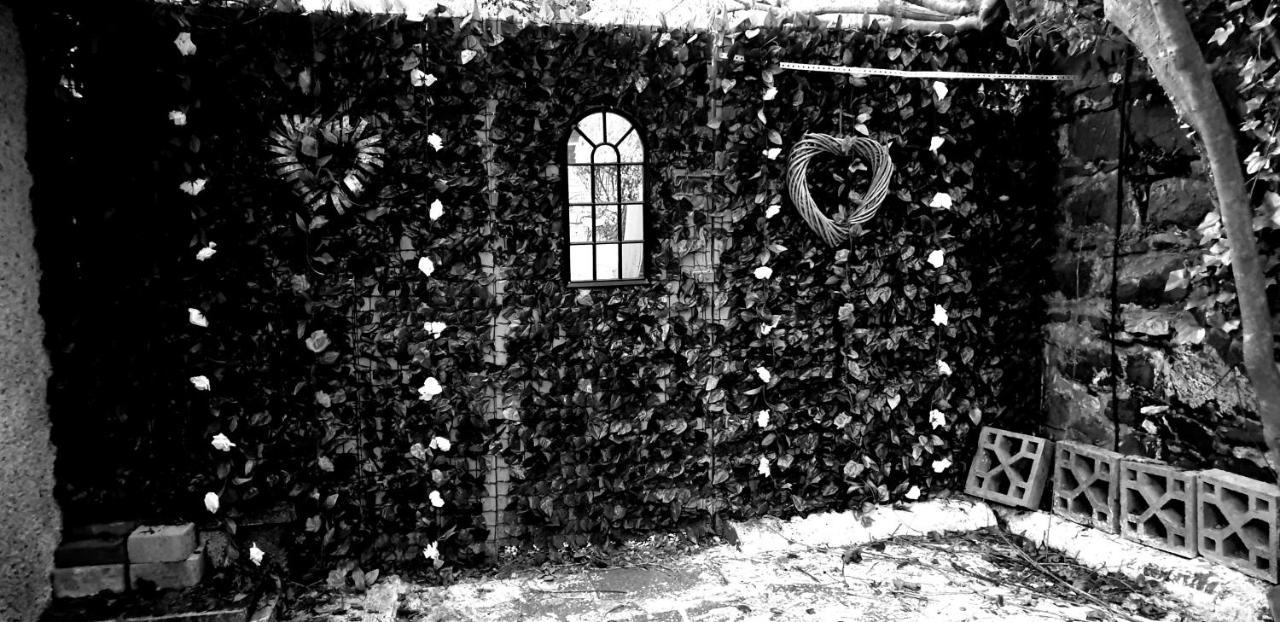 Belfast Cosy Cabin Exteriér fotografie
