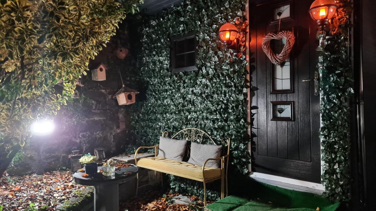 Belfast Cosy Cabin Exteriér fotografie